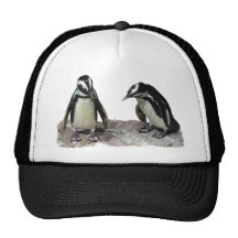 Pingouins Casquettes De Camionneur