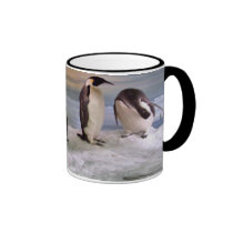 Pingouins de roi tasses