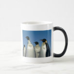 PINGOUINS tasses