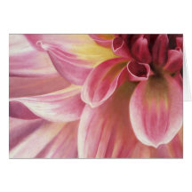 "Pinkilicious " Carte