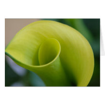 Pirouette Carte