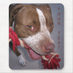 Pitbull effronté tapis de souris