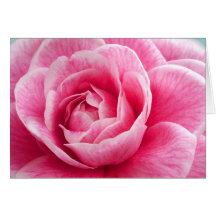 Pivoine Carte