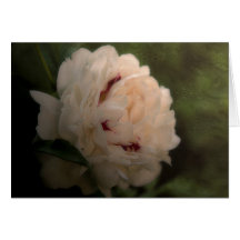 Pivoine - obtenez la carte bonne