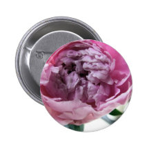 Pivoine Pin's Avec Agrafe