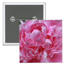 Pivoine rose badge avec épingle
