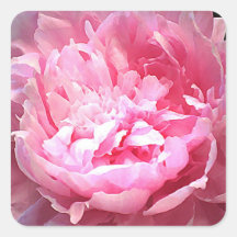 Pivoine rose hachée adhésif
