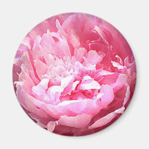 Pivoine rose hachée aimants pour réfrigérateur