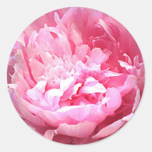 Pivoine rose hachée autocollants