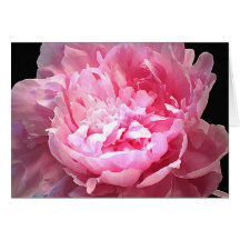 Pivoine rose hachée carte de vœux