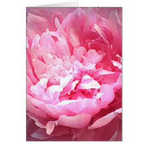 Pivoine rose hachée cartes de vœux