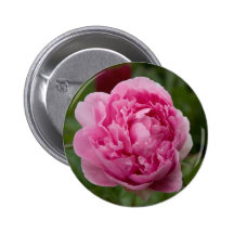 Pivoine rose | Rosa Pfingstrose Badges Avec Agrafe