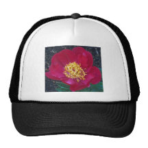 Pivoine rouge casquette