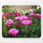 Pivoines de cour tapis de souris
