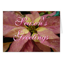 PKPoinsettia-MC-personnaliser Carte De Vœux