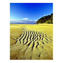 Plage à marée basse, parc national d'Abel Tasman Carte Postale