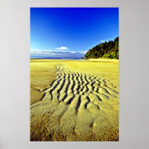 Plage à marée basse, parc national d'Abel Tasman Posters