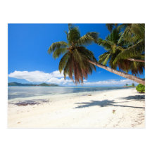Plage blanche de sable cartes postales