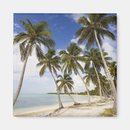 Plage chez Punta Cana Aimants Pour Réfrigérateur