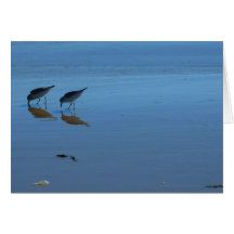 Plage de chant : Carte pour notes de bécasseaux