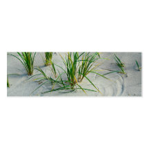 Plage de Great Lakes Carte De Visite