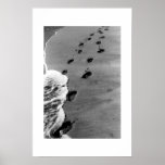 Plage de Ka'anapali Affiches
