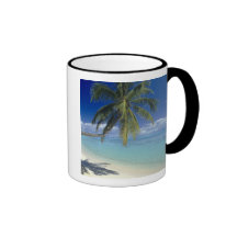 Plage de Matira sur l'île de Bora Bora, société Tasse