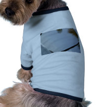 Plage de palmier vêtements pour animaux domestiques