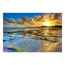 Plage de Wimbe Photographes