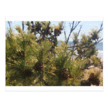 plage piney, NJ Cartes Postales