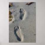 Plage Posters
