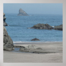 Plage principale de baleines affiche