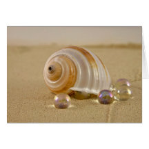 Plage Shell Cartes De Vœux