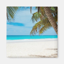 Plage tropicale de paradis aimants