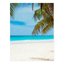 Plage tropicale de paradis cartes postales