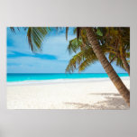 Plage tropicale de paradis poster