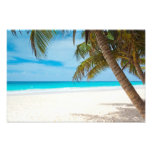 Plage tropicale de paradis  tirage photo