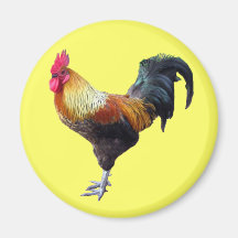 Plaine de coq magnets pour réfrigérateur