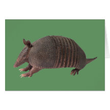 Plaine de tatou carte de vœux