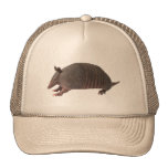 Plaine de tatou casquettes