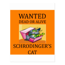 plaisanterie du chat des schrodinger cartes postales