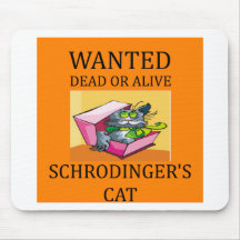 plaisanterie du chat des schrodinger tapis de souris
