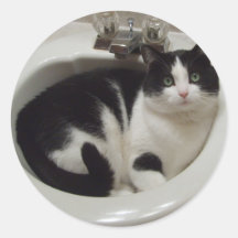 Plaisir d'amoureux de les chats adhésifs ronds