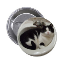 Plaisir d'amoureux de les chats badge avec épingle