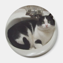 Plaisir d'amoureux de les chats aimants pour réfrigérateur