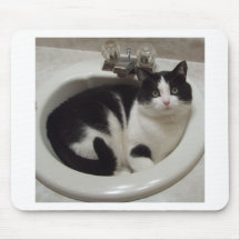 Plaisir d'amoureux de les chats tapis de souris