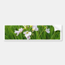Plaisir de fleur sauvage adhésif pour voiture