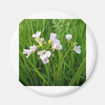 Plaisir de fleur sauvage aimants
