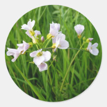 Plaisir de fleur sauvage autocollants