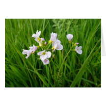 Plaisir de fleur sauvage carte de vœux